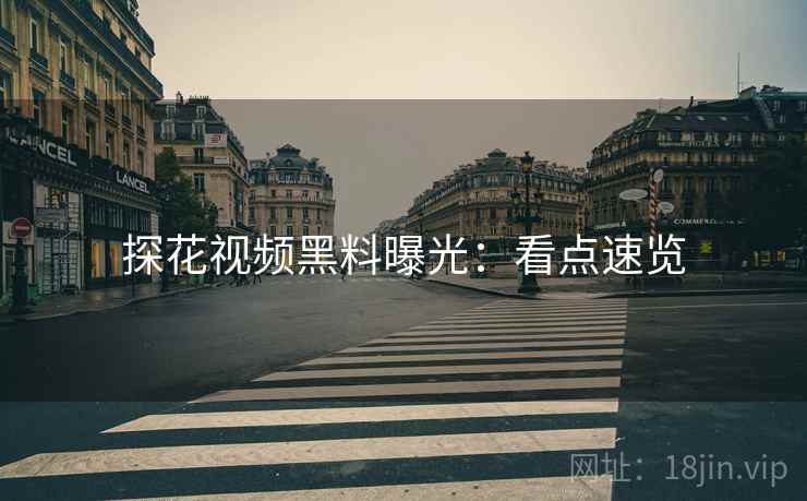 探花视频黑料曝光：看点速览