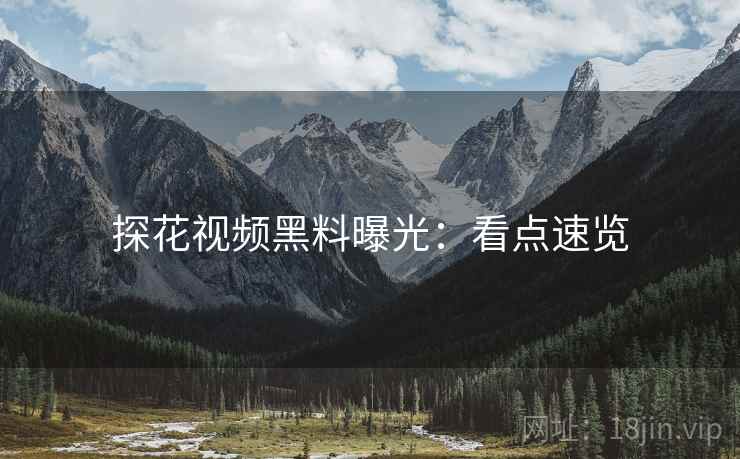 探花视频黑料曝光：看点速览