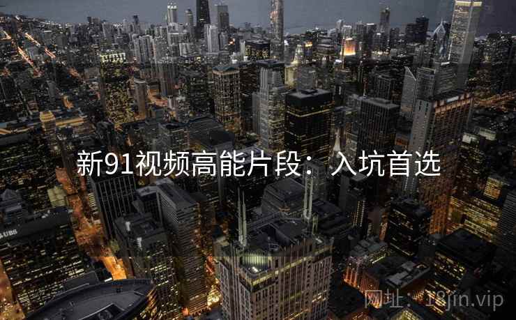 新91视频高能片段：入坑首选