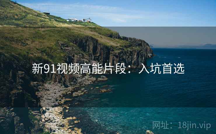 新91视频高能片段：入坑首选